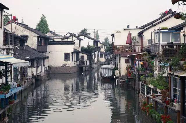月光影视